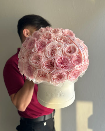 No. 210 Pink Reverie