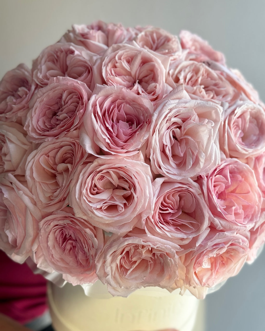 No. 210 Pink Reverie