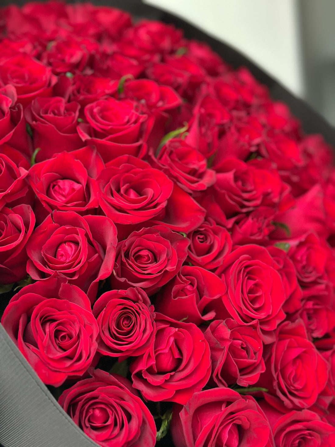 No. 325 Scarlet Passion