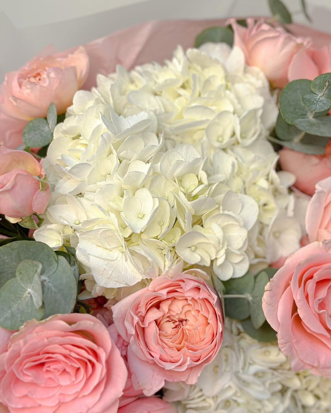 No. 249 Quiet Provence