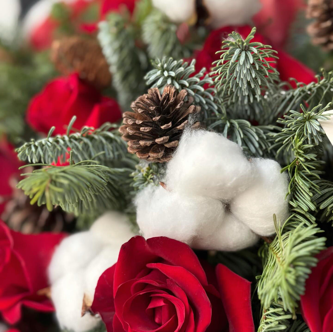 No. 309 Christmas night