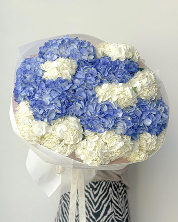 No. 244 15 cloudy hydrangeas