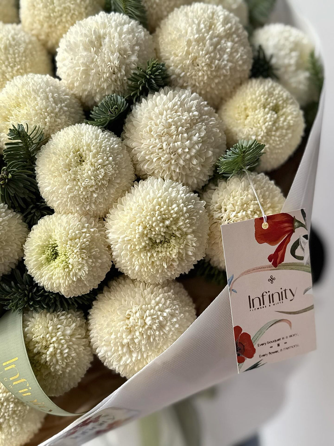 No. 308 Momoko chrysanthemums