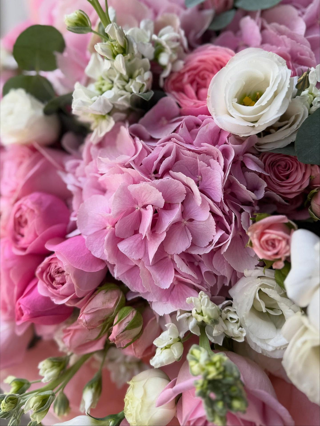 No. 292 Pink Harmony