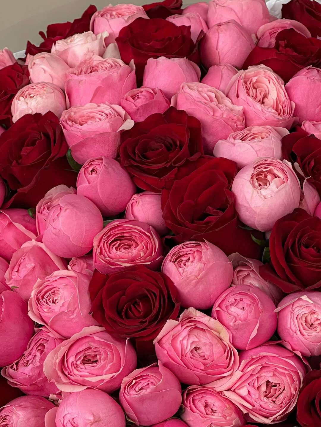 No. 322 Crimson Blush Harmony