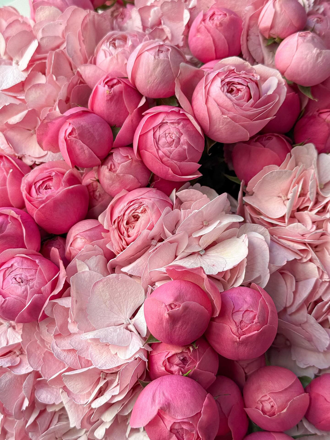 No. 247 Blushing Secret